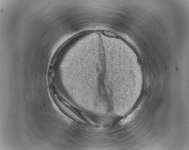 X0000065250943200603131124