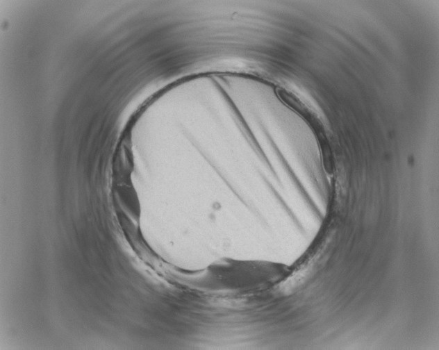 X0000065250944200603131124