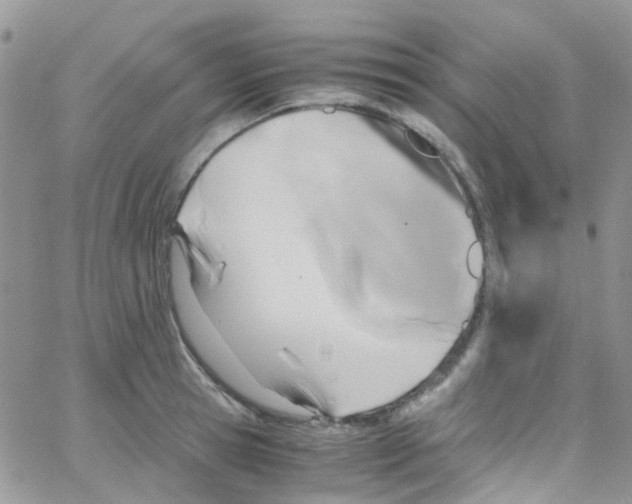 X0000065250945200603131124