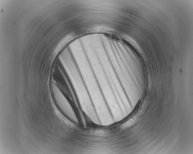 X0000065250946200603131124