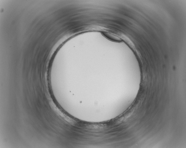 X0000065250947200603131124