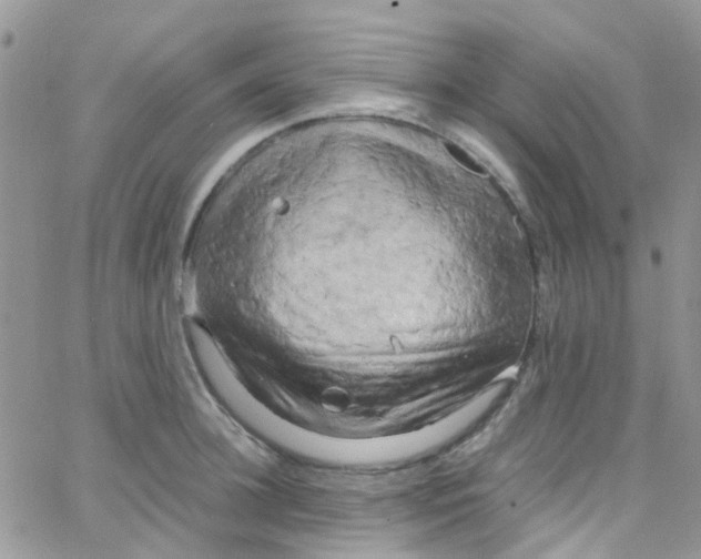 X0000065250948200603131124