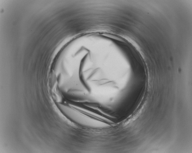 X0000065250949200603131124