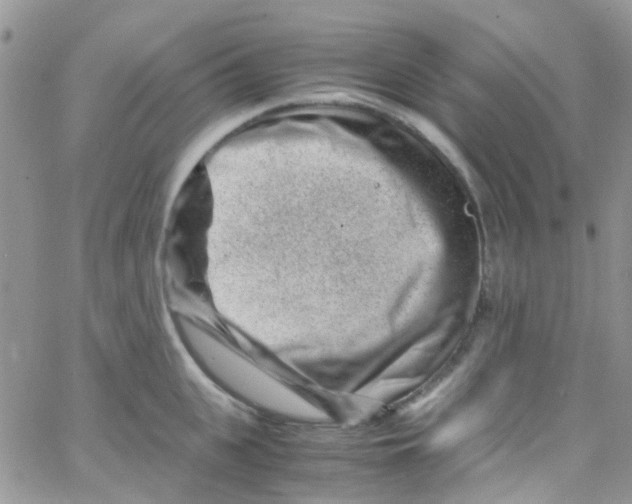 X0000065250951200603131124