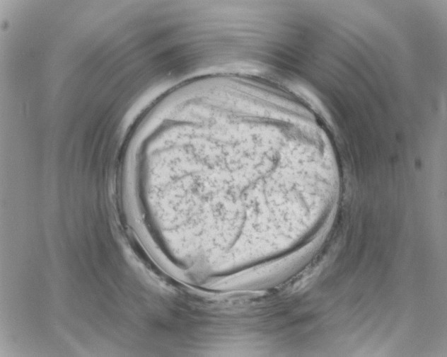 X0000065250952200603131124