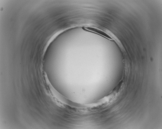 X0000065250956200603131124