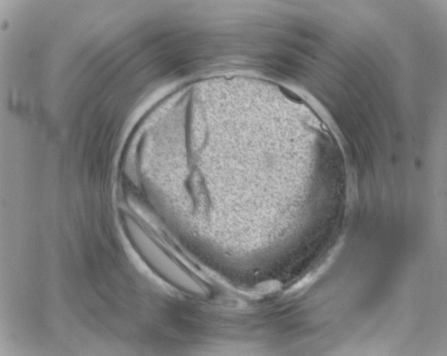 X0000065250957200603131124