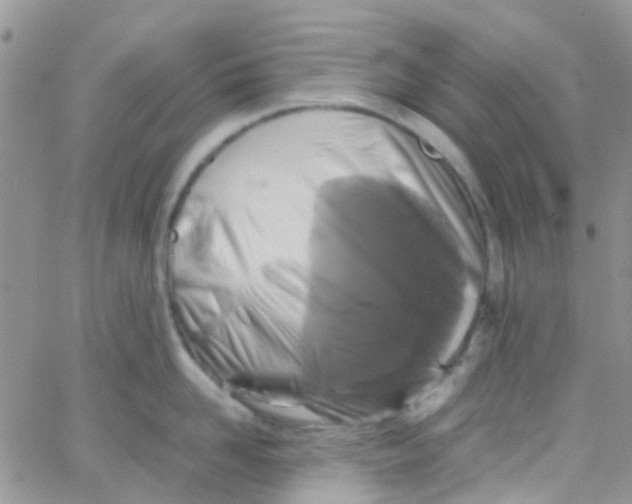 X0000065250958200603131124