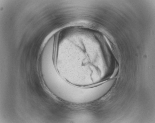 X0000065250960200603131125