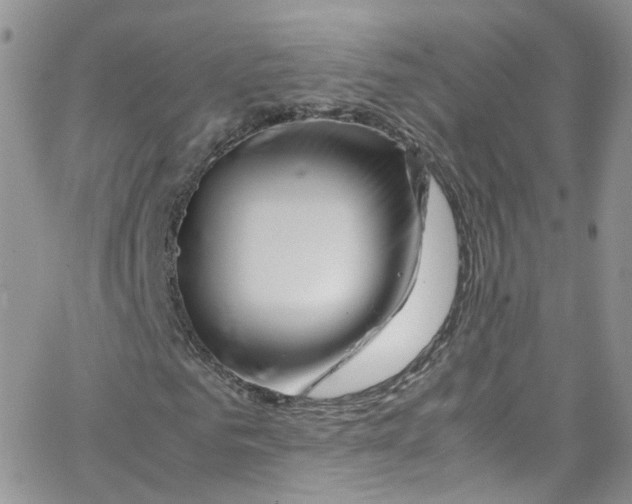 X0000065250961200603131124