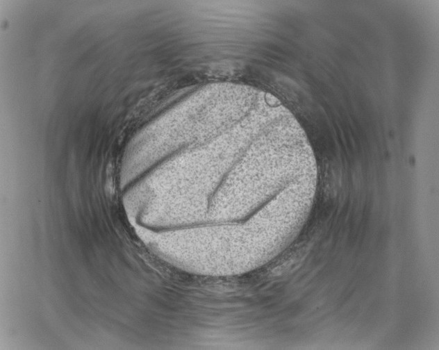 X0000065250962200603131124