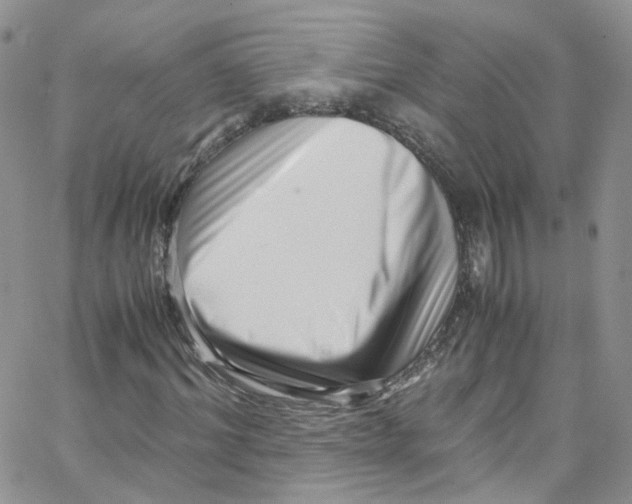 X0000065250964200603131124