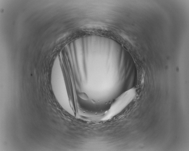 X0000065250965200603131124