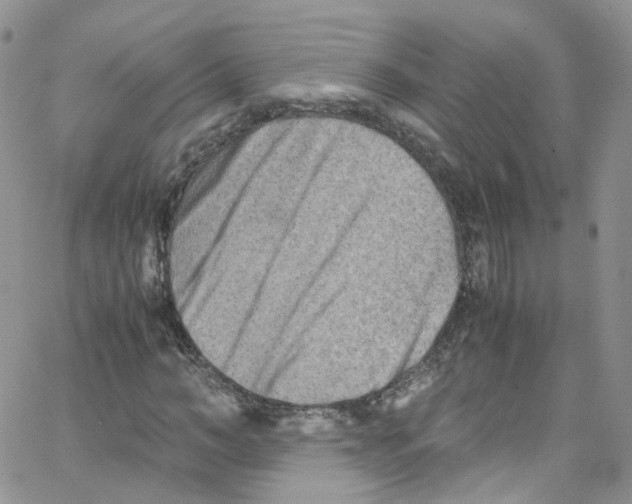 X0000065250966200603131124