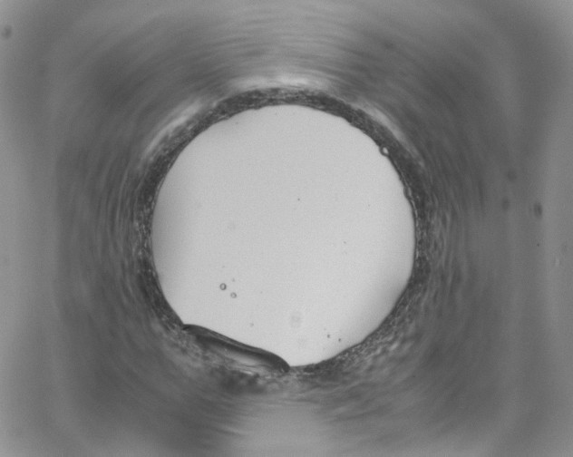 X0000065250967200603131124