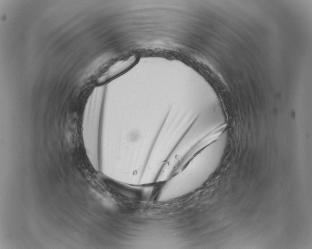 X0000065250968200603131124