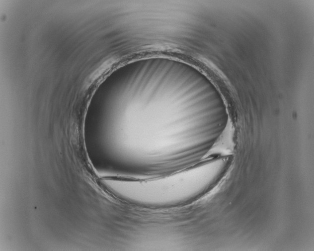 X0000065250969200603131124