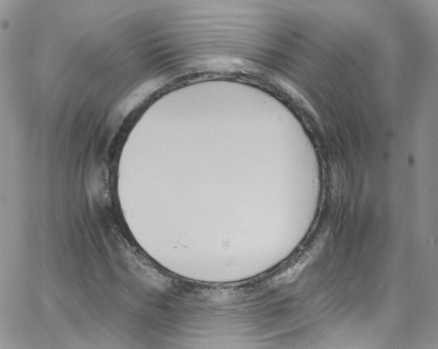 X0000065250970200603131124