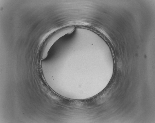 X0000065250971200603131124