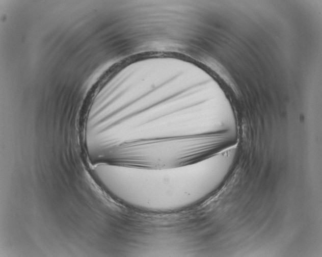 X0000065250972200603131124