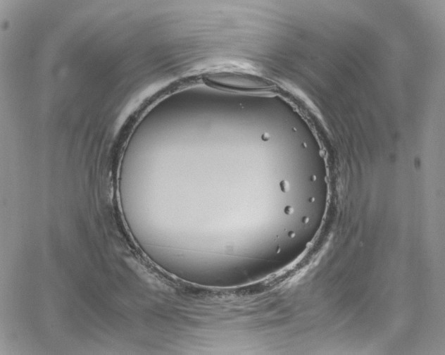 X0000065250973200603131124