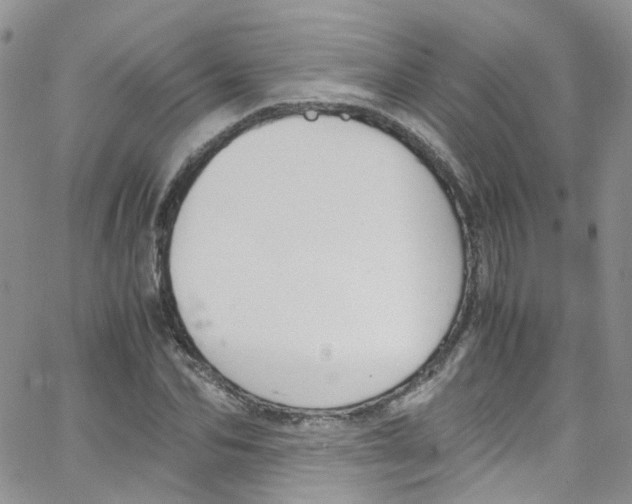 X0000065250974200603131124