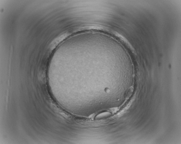 X0000065250977200603131123