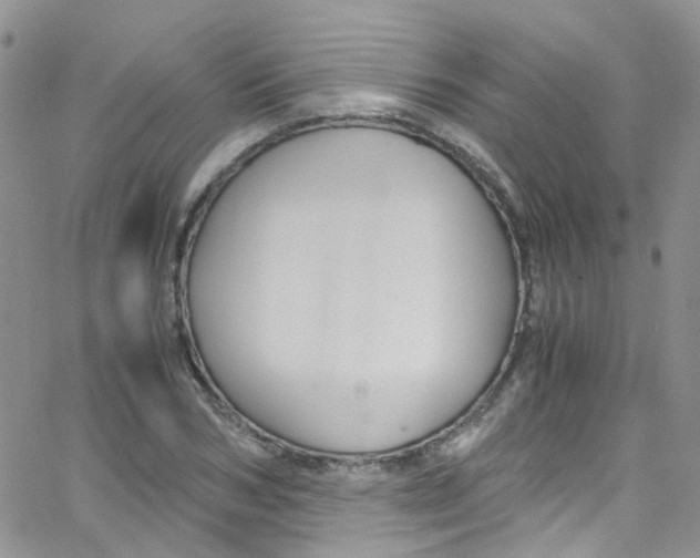 X0000065250978200603131123