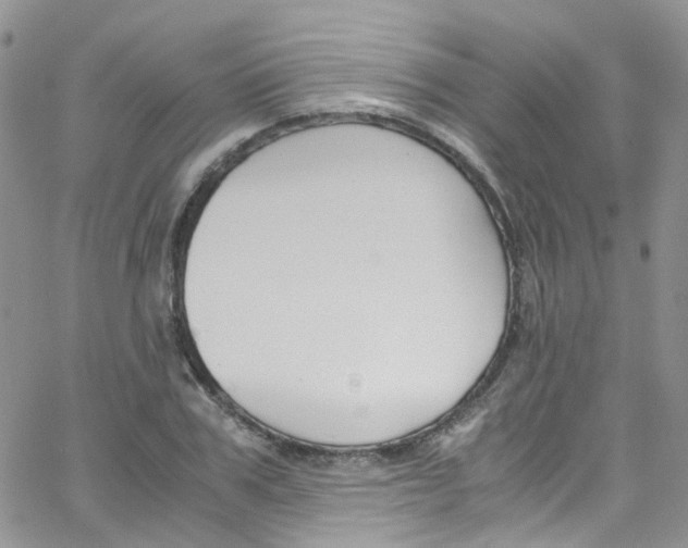 X0000065250979200603131123