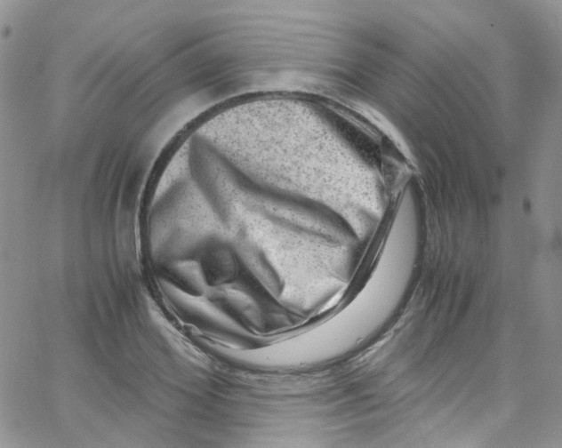 X0000065250980200603131123