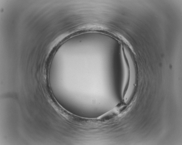 X0000065250981200603131123