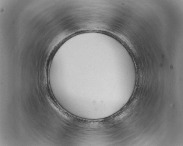 X0000065250982200603131123