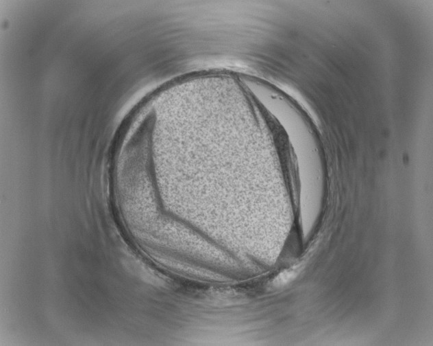 X0000065250983200603131123