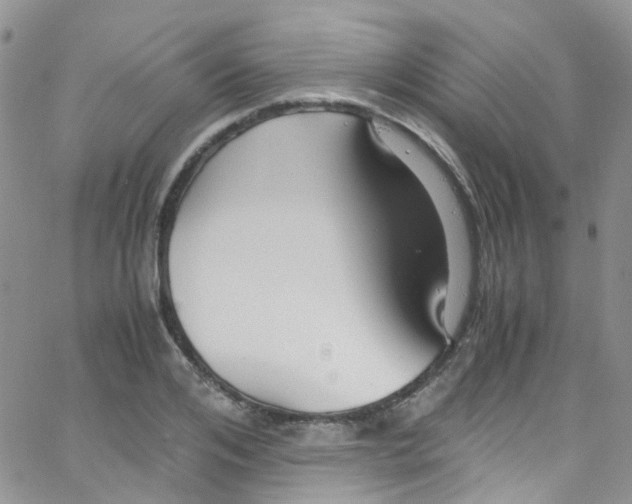 X0000065250984200603131123