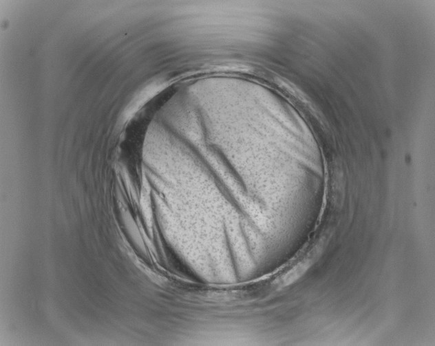 X0000065250985200603131123