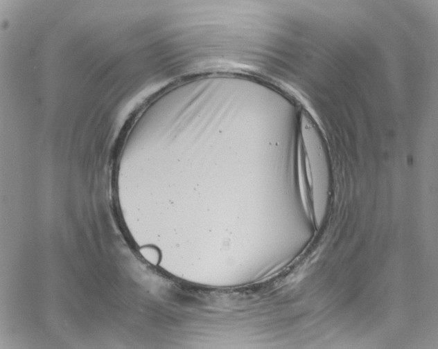 X0000065250987200603131123