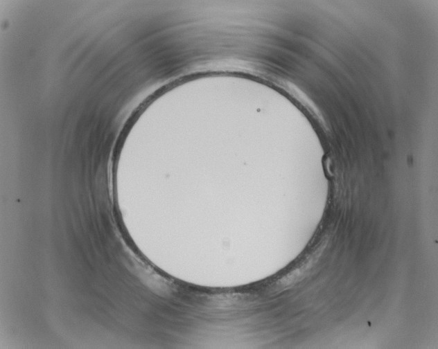 X0000065250988200603131123