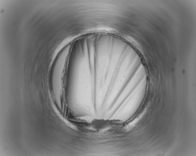 X0000065250989200603131123