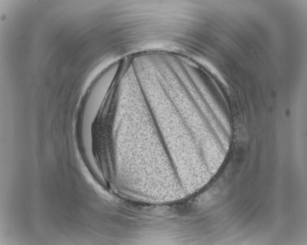 X0000065250991200603131123