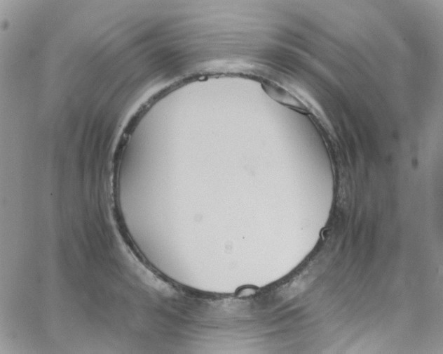 X0000065250992200603131123