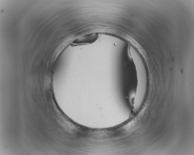 X0000065250993200603131123