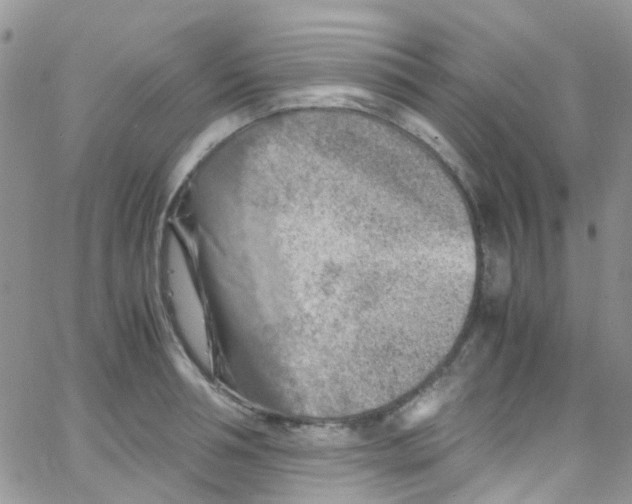 X0000065250994200603131123