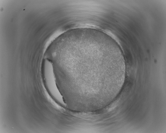 X0000065250995200603131123