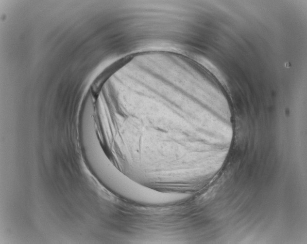 X0000065250996200603131123