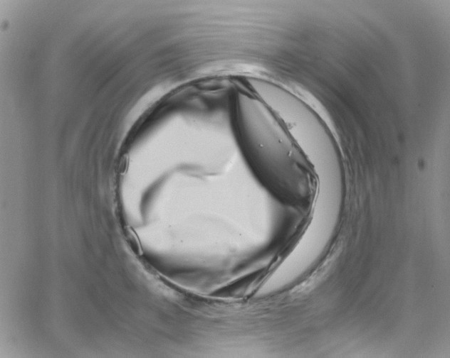 X0000065250997200603131123