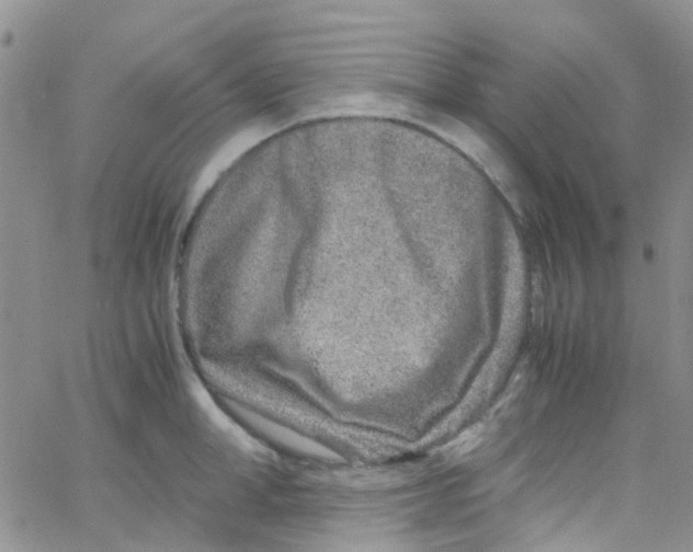 X0000065250998200603131123