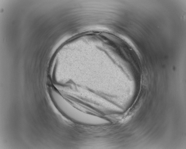 X0000065250999200603131123