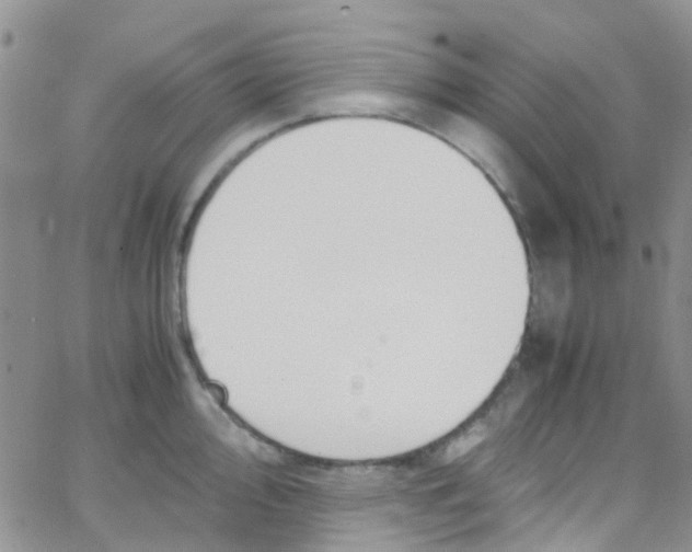 X0000065251000200603131123