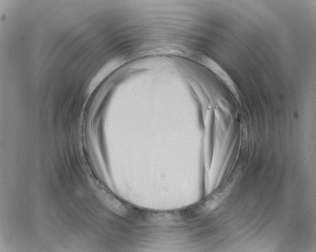 X0000065251002200603131123