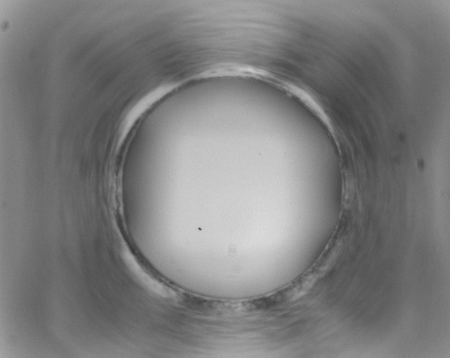 X0000065251003200603131123